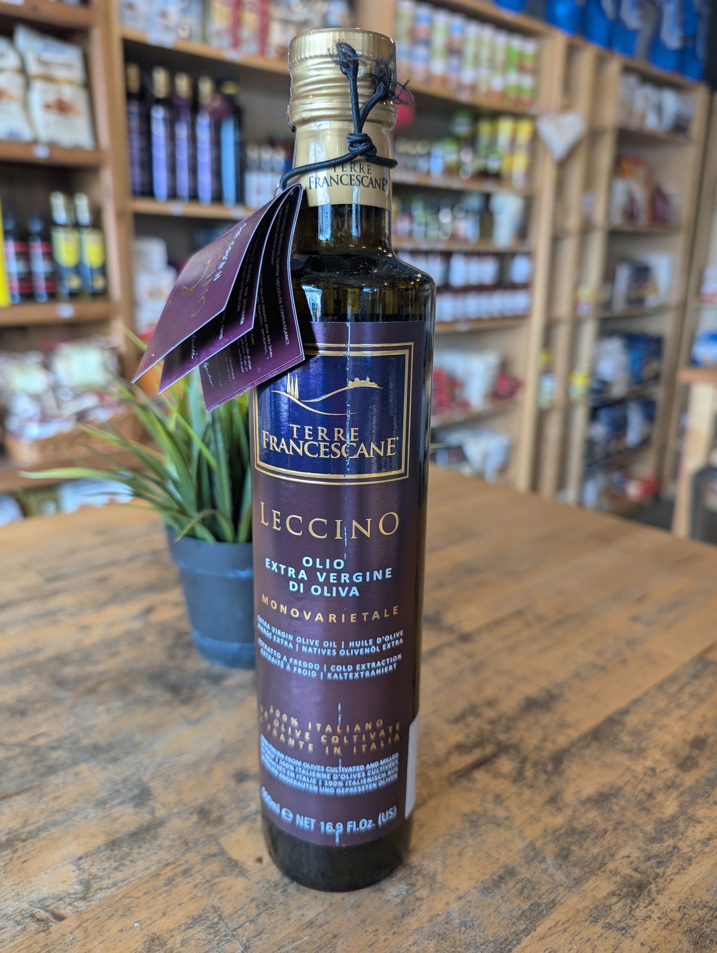 Leccino extra virgin olive oil from Terre Francescane